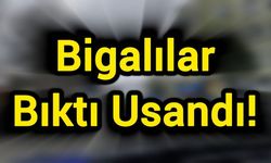Bigalılar Bıktı Usandı!