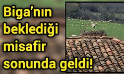 Biga’nın beklediği misafir sonunda geldi!