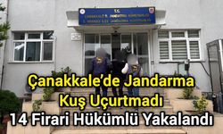 Çanakkale’de Jandarma Kuş Uçurtmadı: 14 Firari Hükümlü Yakalandı