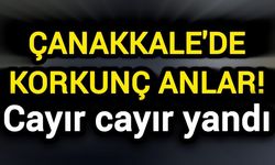 Çanakkale'de korkunç anlar! Cayır cayır yandı