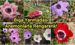 Rüzgarın kızı Çanakkale’yi sardı