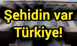 Şehidin var Türkiye!