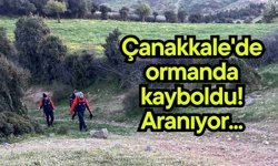Çanakkale'de ormanda kayboldu! Aranıyor...