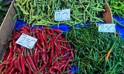 Biga Pazarı’nda "Acı" Tablo