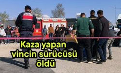 Kaza yapan vincin sürücüsü öldü