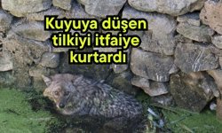 Kuyuya düşen tilkiyi itfaiye kurtardı