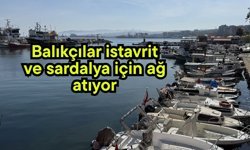 Balıkçılar istavrit ve sardalya için ağ atıyor