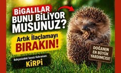 Bigalılar bunu biliyor musunuz? Artık ilaçlamayı bırakın!