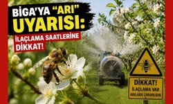 Biga’ya "Arı" uyarısı: İlaçlama saatlerine dikkat!