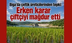 Biga’da çeltik üreticilerinden tepki: Erken karar çiftçiyi mağdur etti