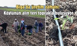 Biga’da üretim zamanı: Köylünün alın teri toprakla buluşuyor