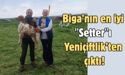 Biga’nın en iyi "Setter"ı Yeniçiftlik’ten çıktı!