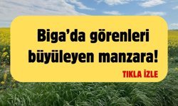 Biga’da görenleri büyüleyen manzara!