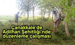 Çanakkale'de Adilhan Şehitliği'nde düzenleme çalışması