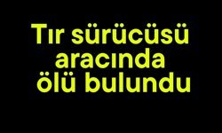 Tır sürücüsü aracında ölü bulundu