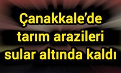 Çanakkale’de tarım arazileri sular altında kaldı