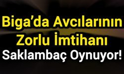Biga’da Avcılarının Zorlu İmtihanı: Saklambaç Oynuyor!