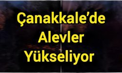 Çanakkale’de ormanlık alanda yangın!