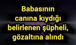 Babasının canına kıydığı belirlenen şüpheli, gözaltına alındı