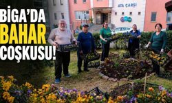 Bahar Biga’yı Renklendirdi: Ortur Sitesi’nde Çiçek Şöleni