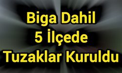 Biga Dahil 5 İlçede Tuzaklar Kuruldu