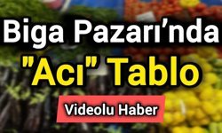 Biga Pazarı’nda "Acı" Tablo