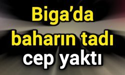 Biga’da baharın tadı cep yaktı!