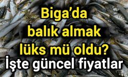 Biga’da balık almak lüks mü oldu? İşte güncel fiyatlar