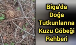 Biga’da Doğa Tutkunlarına Kuzu Göbeği Rehberi