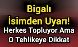 Bigalı İsimden Uyarı! Herkes Topluyor Ama O Tehlikeye Dikkat
