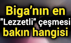 Biga’nın en "Lezzetli" çeşmesi bakın hangisi