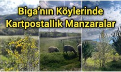 Biga’nın Köylerinde Kartpostallık Manzaralar
