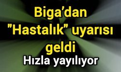 Biga’dan "Hastalık" uyarısı geldi: Hızla yayılıyor