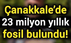Çanakkale’de 23 milyon yıllık fosil bulundu!