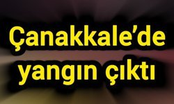 Çanakkale’de yangın çıktı