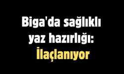 Biga'da sağlıklı yaz hazırlığı: İlaçlanıyor