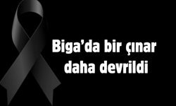 Biga’da bir çınar daha devrildi