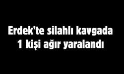 Erdek’te silahlı kavgada 1 kişi ağır yaralandı