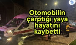 Otomobilin çarptığı yaya hayatını kaybetti
