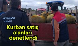Kurban satış alanları denetlendi