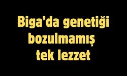 Biga’da genetiği bozulmamış tek lezzet