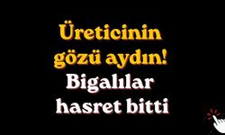 Üreticinin gözü aydın! Bigalılar hasret bitti