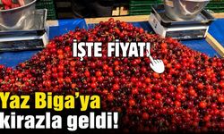 Yaz Biga'ya kirazla geldi! İşte fiyatı