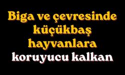 Biga ve çevresinde küçükbaş hayvanlara koruyucu kalkan