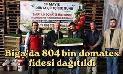 Biga’da 804 bin domates fidesi dağıtıldı