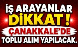 Çanakkale’de Toplu İş Fırsatı: Farklı Alanlarda Personel Aranıyor