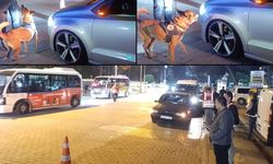 Biga'da Dev Asayiş Operasyonu: Köpeklerle Her Nokta Denetlendi (Video)