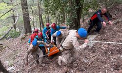 Kayıp olarak aranan kişi arazide ölü bulundu