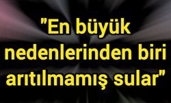 "En büyük nedenlerinden biri arıtılmamış sular"