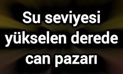 Su seviyesi yükselen derede can pazarı